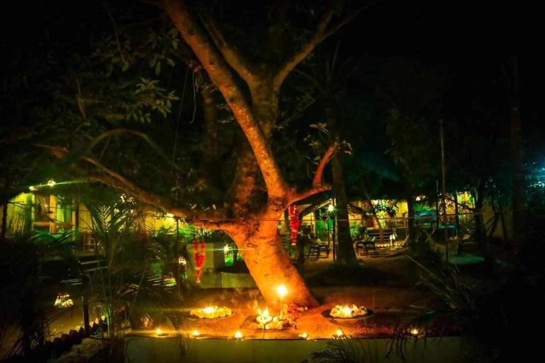 Patnem Beach Patnem Palm Garden酒店 外观 照片