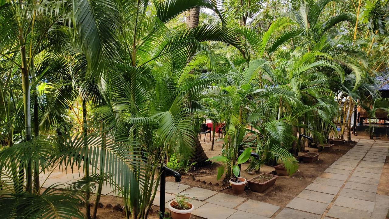 Patnem Beach Patnem Palm Garden酒店 外观 照片